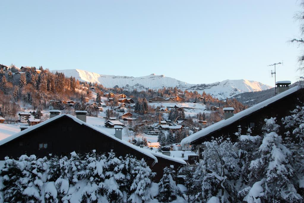 Terrass Park Hotel Megève Dış mekan fotoğraf