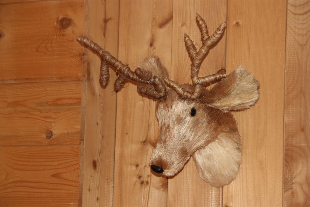 Terrass Park Hotel Megève Dış mekan fotoğraf
